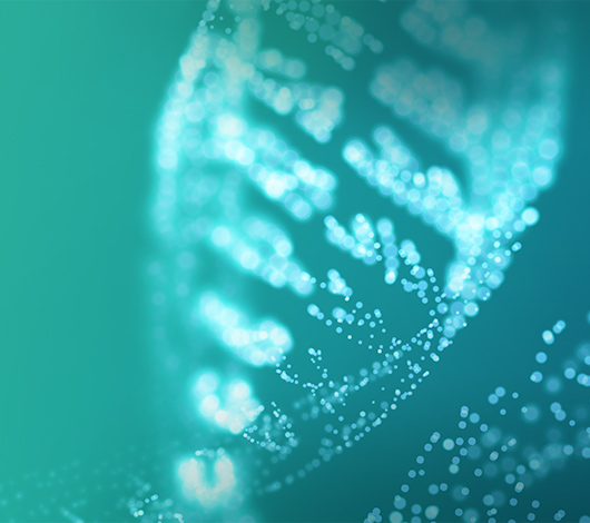 維亞生物-集團茄子视频污免费观看