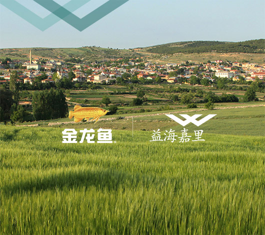 益海嘉裏集團網站設計