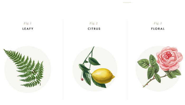 高端茄子视频污免费观看公司