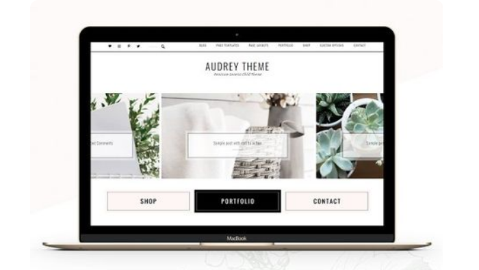 高端茄子视频污免费观看公司