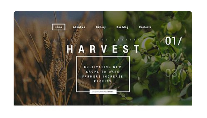 高端茄子视频污免费观看公司