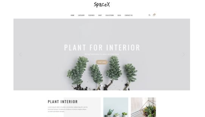 高端茄子视频污免费观看公司