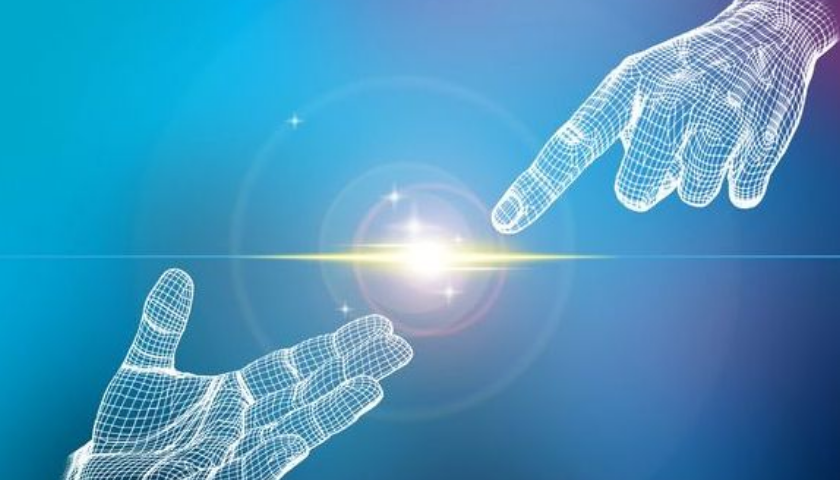 上海茄子视频污免费观看