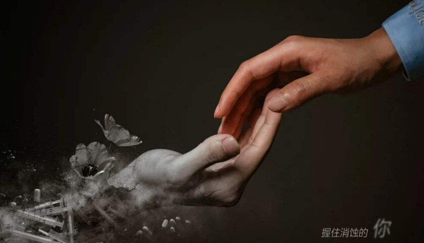 上海茄子视频污免费观看公司