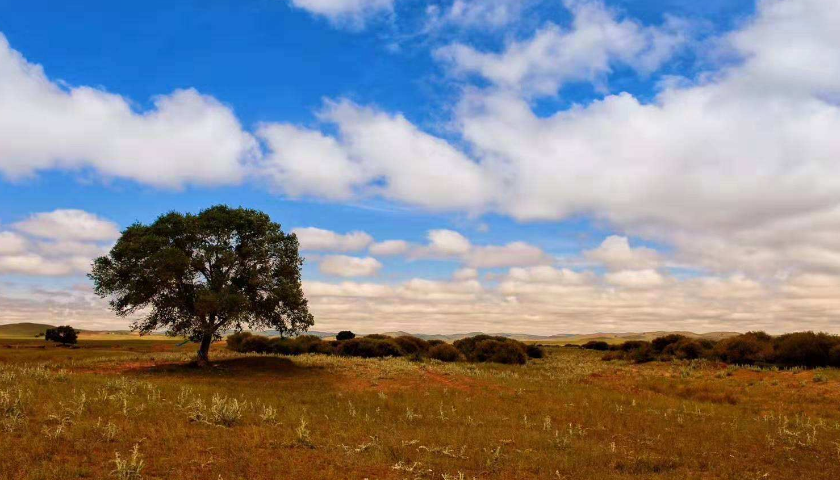 上海茄子视频污免费观看公司