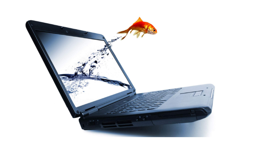 茄子视频污免费观看