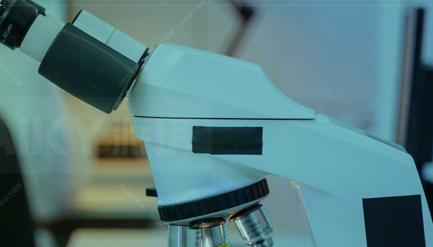 企業服務茄子视频污免费观看