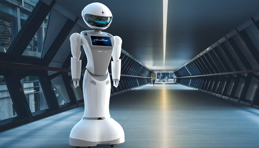 茄子视频污免费观看