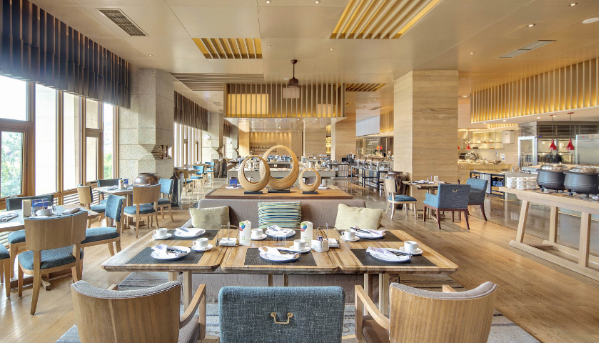 茄子视频污免费观看