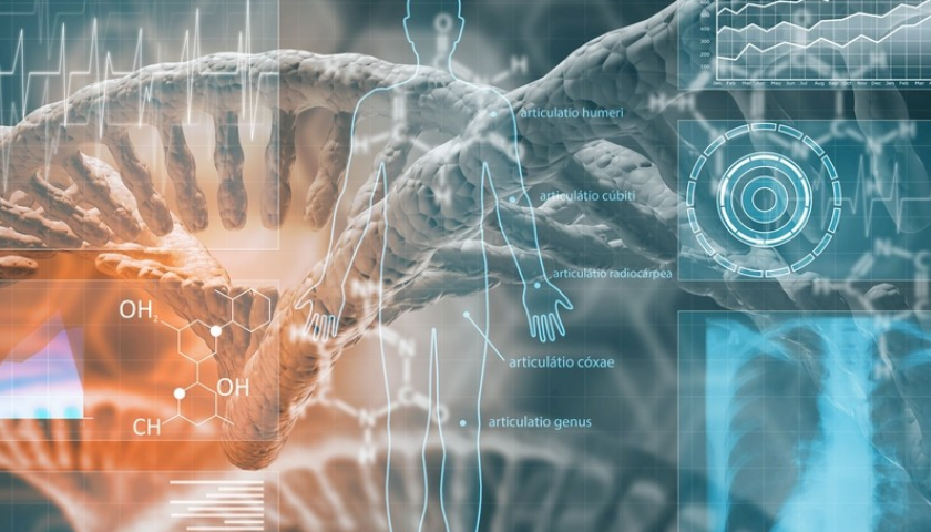 生物醫療茄子视频污免费观看