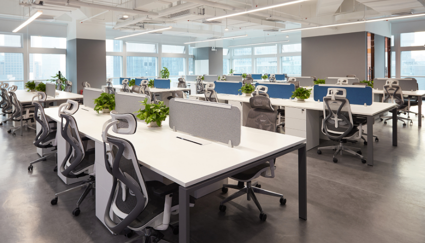 教育培訓茄子视频污免费观看