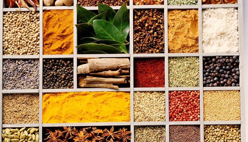 調味料茄子视频污免费观看