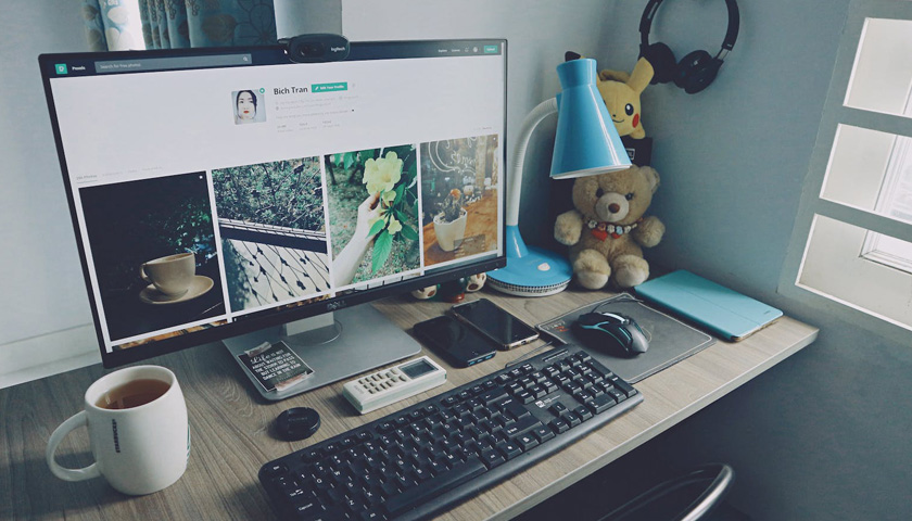 專業茄子视频污免费观看