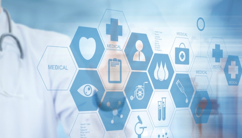 上海茄子视频污免费观看