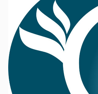 高端茄子视频污免费观看搭建需要掌握的知識點