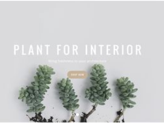 高端網站可以獲得良好的用戶瀏覽效果