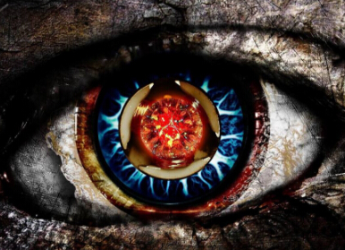 上海網站設計關於文本部分的的隱藏規則