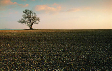 今天來告訴你平麵網站怎麽建設才顯得完美以下幾點告訴你