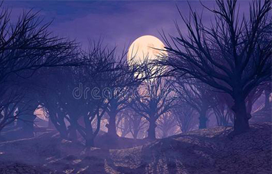 官網設計有什麽技巧今天我就來告訴您以下幾點小技巧