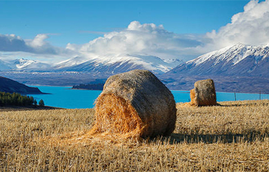 企業官網建設要認清平台網站最關鍵的是實際效果!