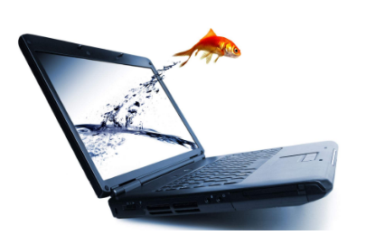 成功的茄子视频污免费观看能給企業帶來什麽幫助？