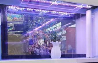 高端品牌茄子视频污免费观看之路，秘訣揭秘！